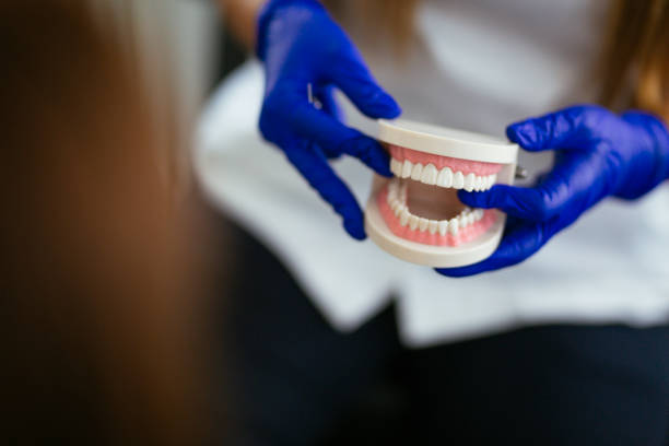Professional  Holistic Dental Services in Carleton, MI